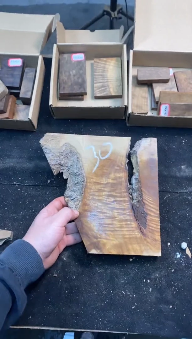 H*金丝楠小叶桢楠1