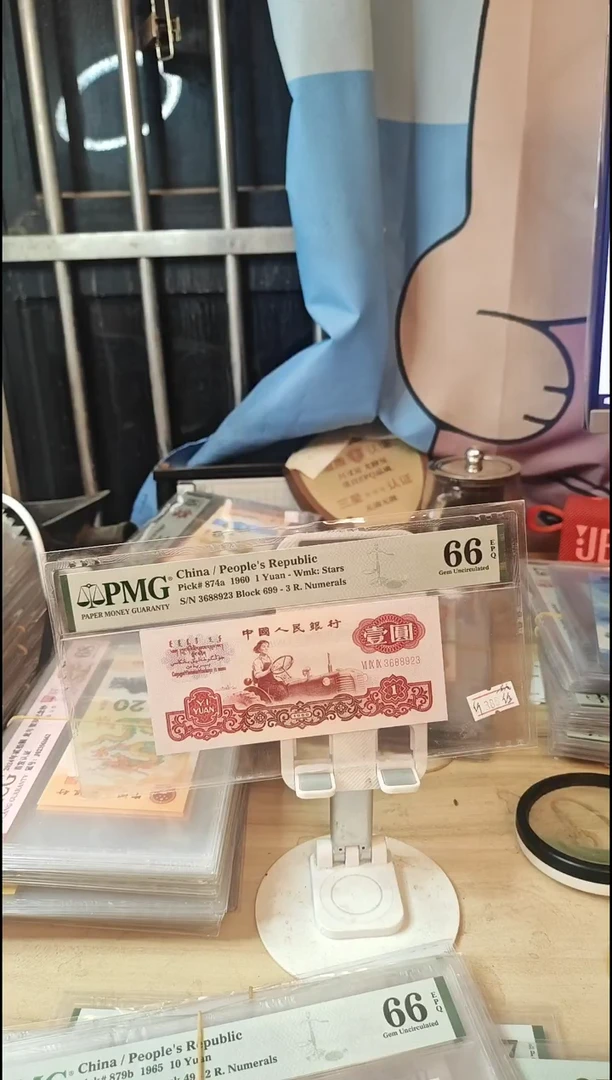 纤维丝一品红66分无47！！！