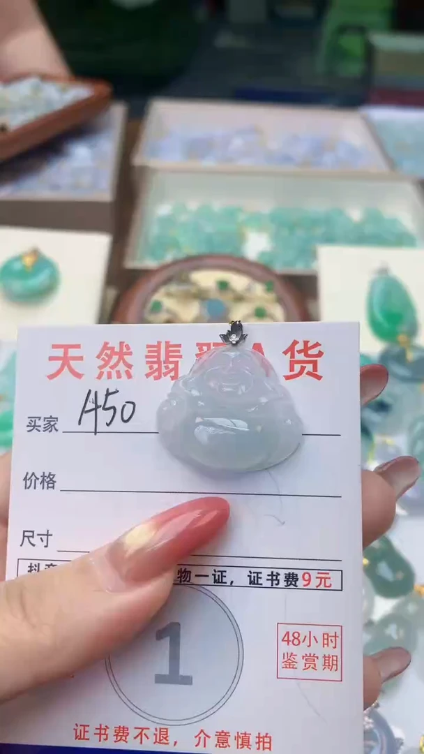 颈饰未镶嵌翡翠天然A货翡翠挂件