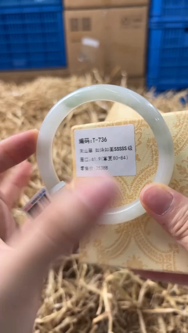 未镶嵌手镯石英质玉T-736
