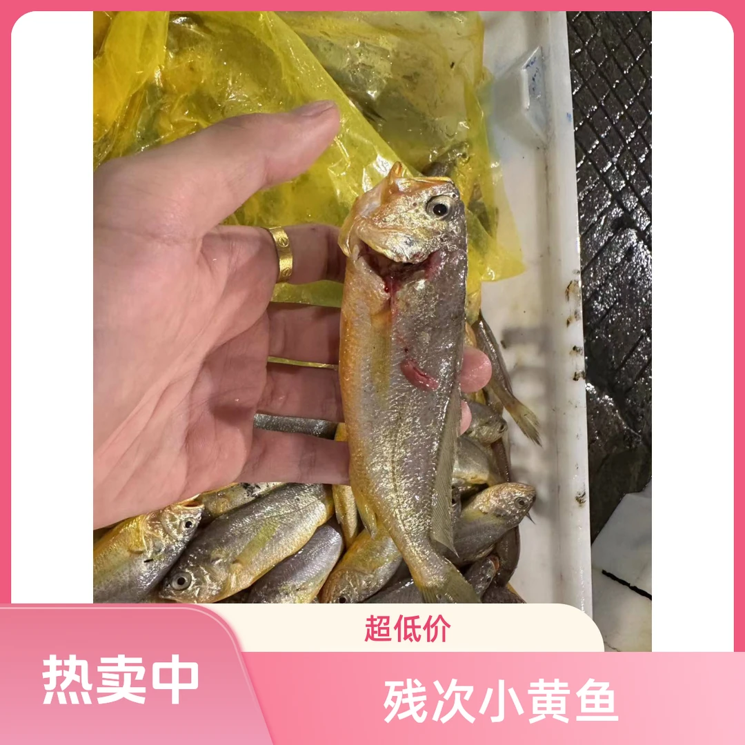 《东海优品》台州东海本地残次小黄鱼顺丰包邮宠粉福利（介意勿拍）