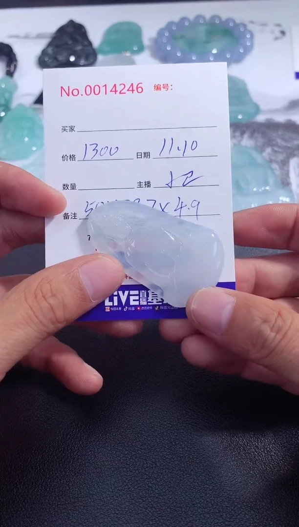 颈饰未镶嵌翡翠素衣