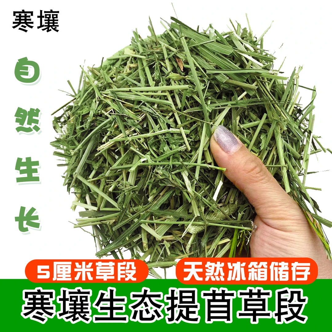 寒壤生态提苜草段兔兔龙猫豚鼠荷兰猪草本混合牧草生态提摩