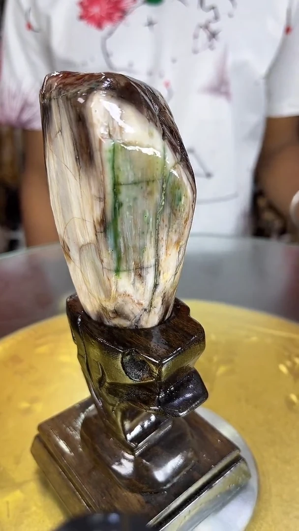 硅化玉珠宝奇石未镶嵌缅甸天然树化玉