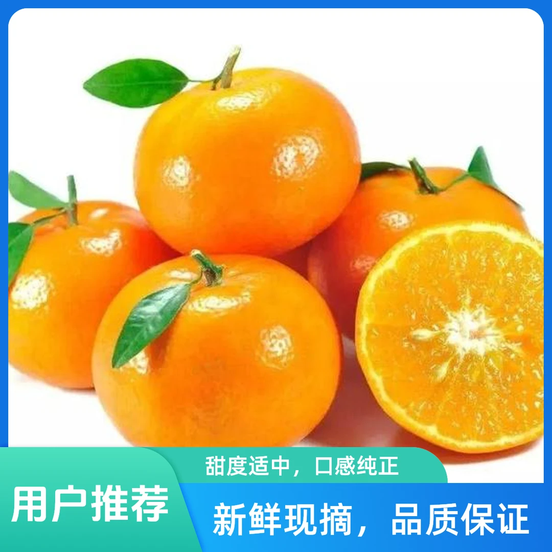 【建鹏】广西武鸣沃柑g柑橘广西壮族自治区广西壮族自治区南宁市