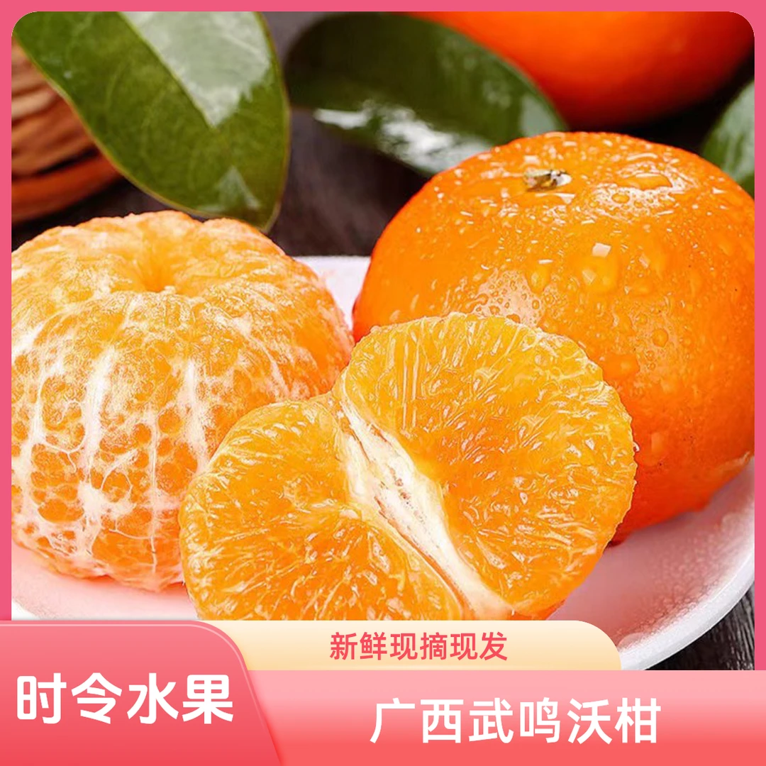 广西武鸣沃柑花皮果多汁酸甜当季柑橘时令水果特产新鲜现摘现发