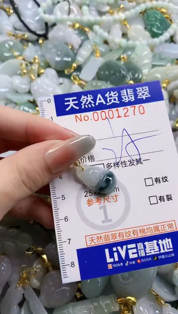 颈饰未镶嵌翡翠天然A货翡翠