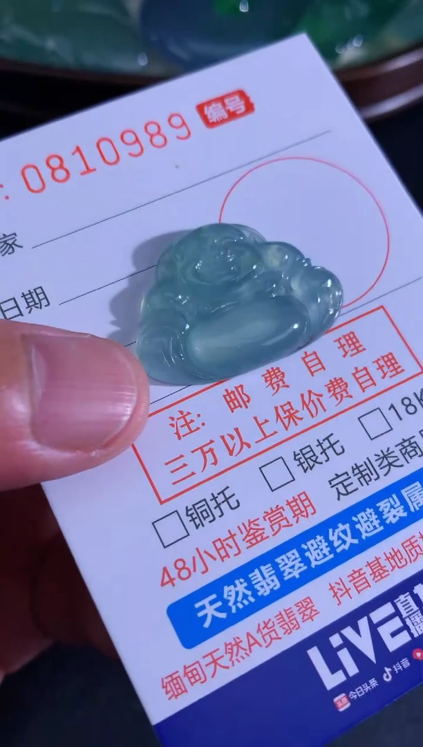 翡翠未镶嵌颈饰天然A货翡翠