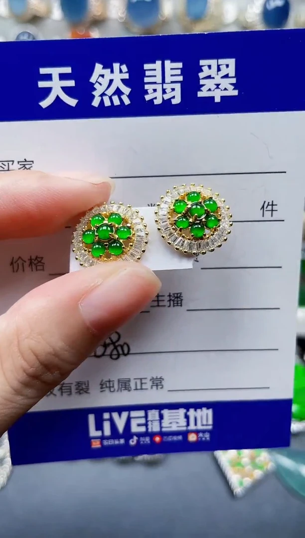 银S925镶嵌翡翠耳饰680