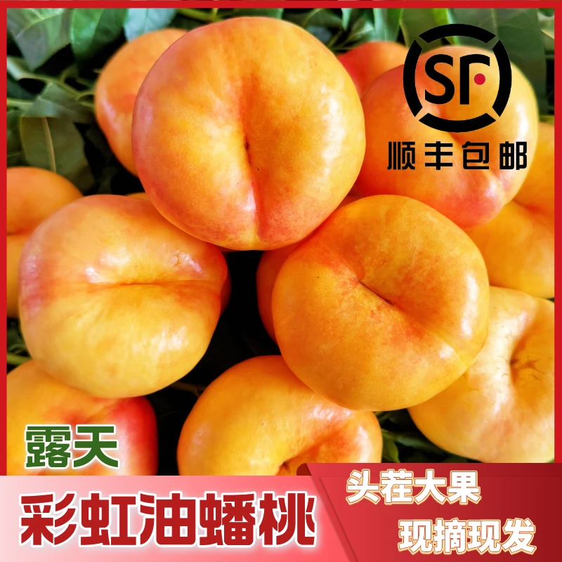 【京东顺丰包邮】蒙阴彩虹蟠桃现摘现发黄金油蟠桃脆甜多汁应季新鲜