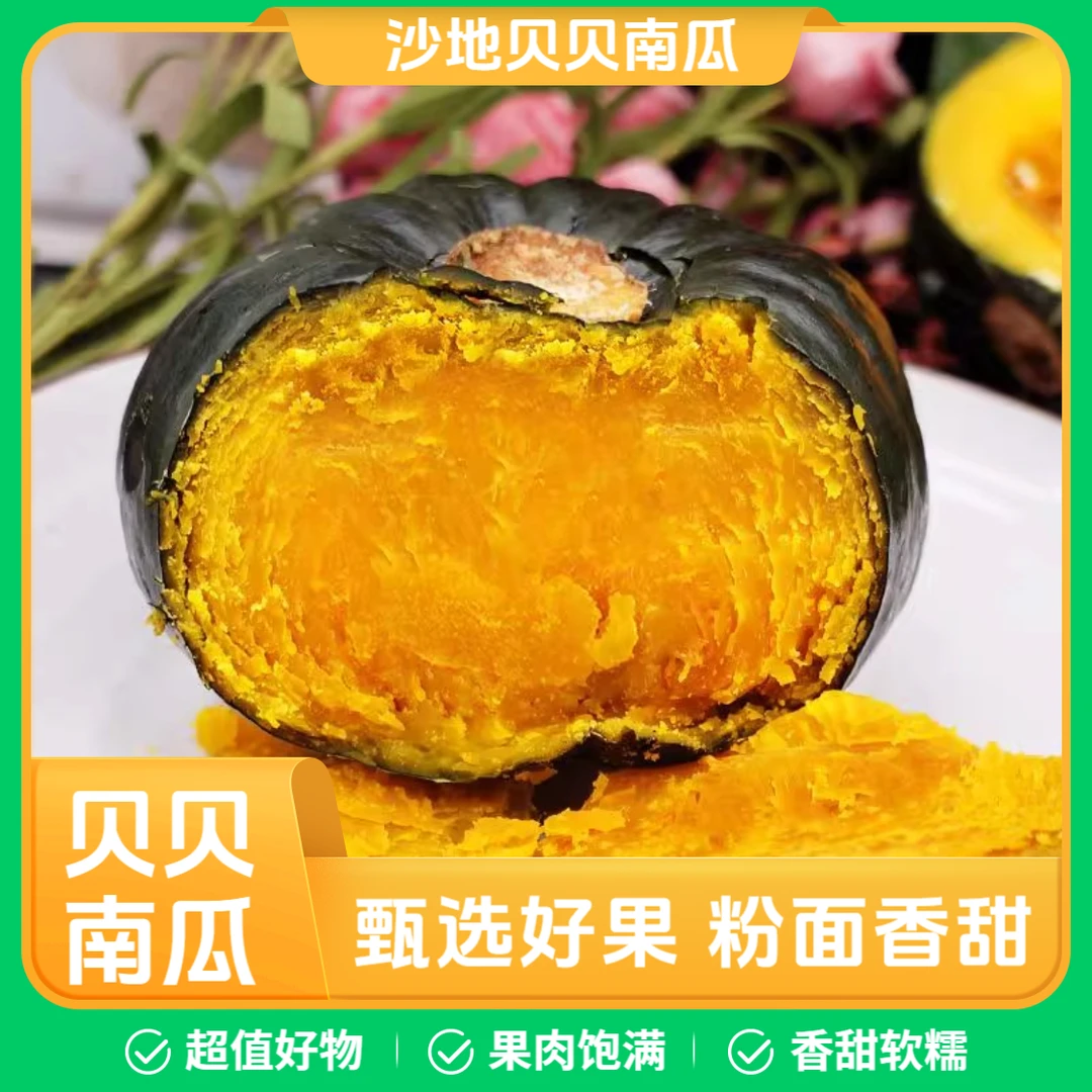 正宗沙地贝贝南瓜粉糯香甜板栗味适合宝宝辅食