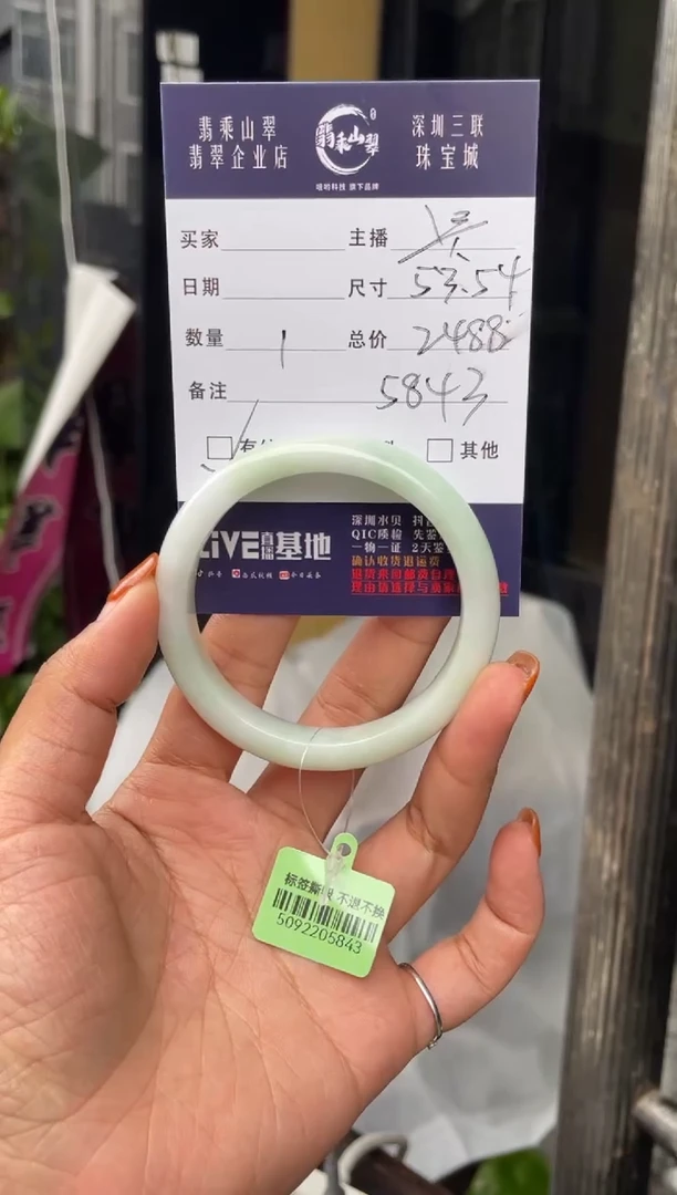 未镶嵌手镯翡翠C 53-54正圈 5843