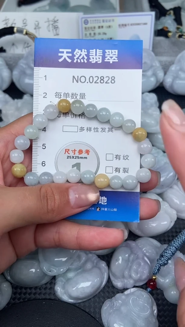颈饰未镶嵌翡翠纯天然A货翡翠288