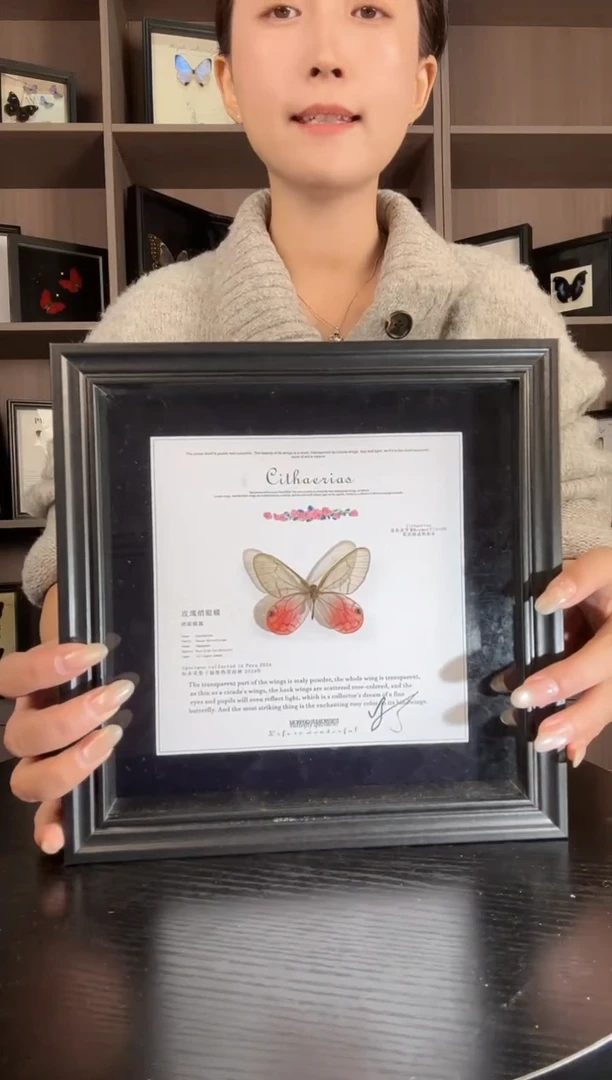 实木竖款玫瑰绡眼蝶（蝴蝶装饰画8寸框）