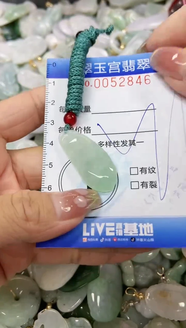 【闪购商品】翡翠颈饰未镶嵌闪购0052846