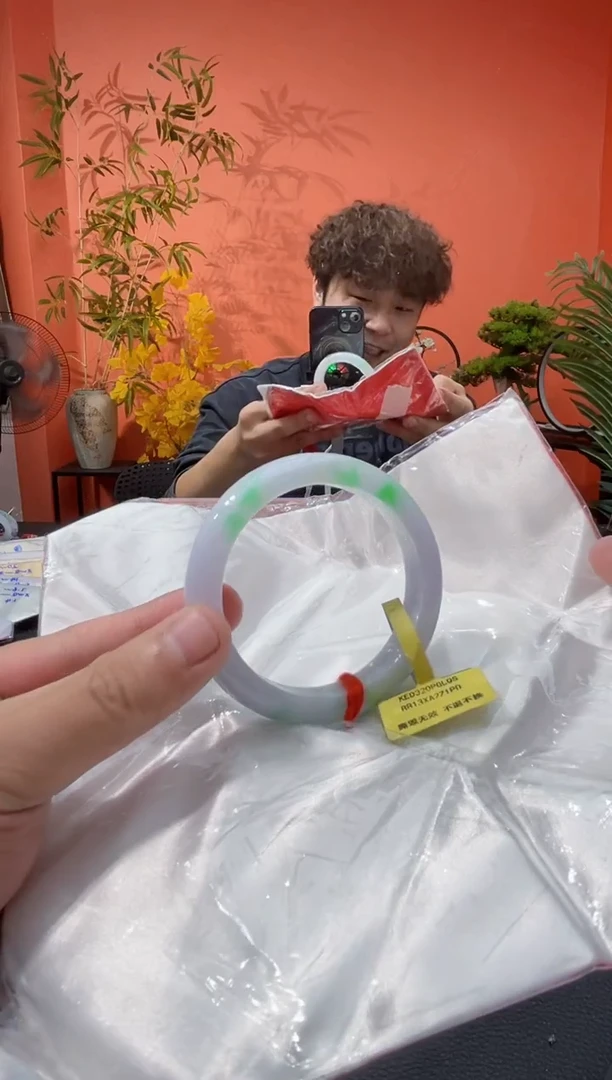 未镶嵌手镯翡翠2