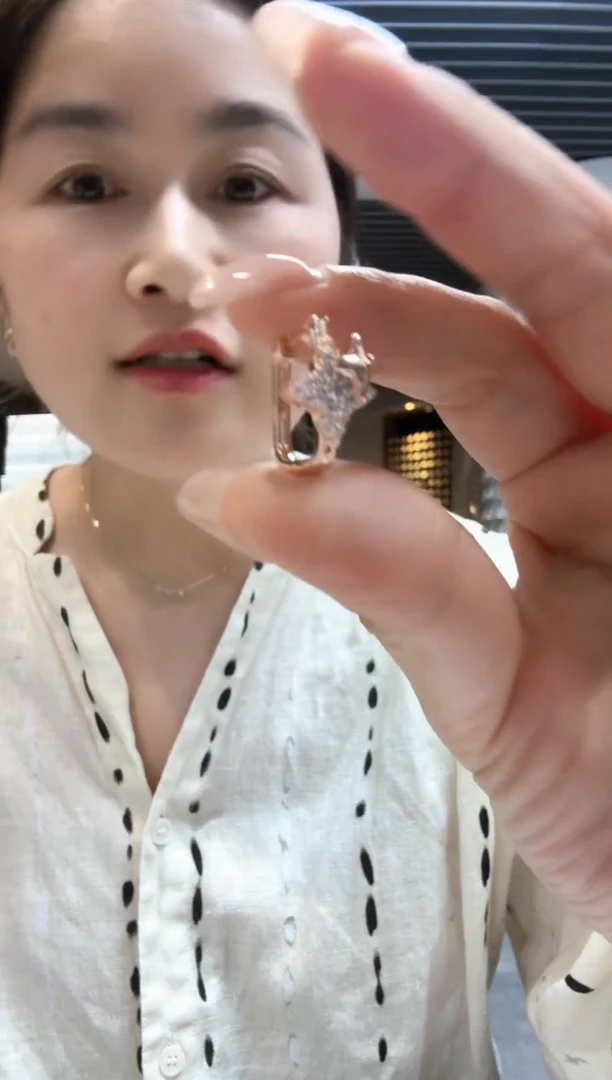 铁合金合金锆石铜合金耳环 ED148970102