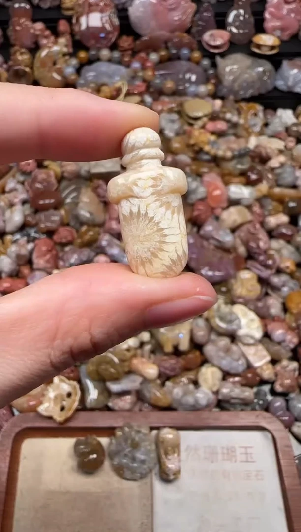 颈饰未镶嵌硅化珊瑚（珊瑚玉）646