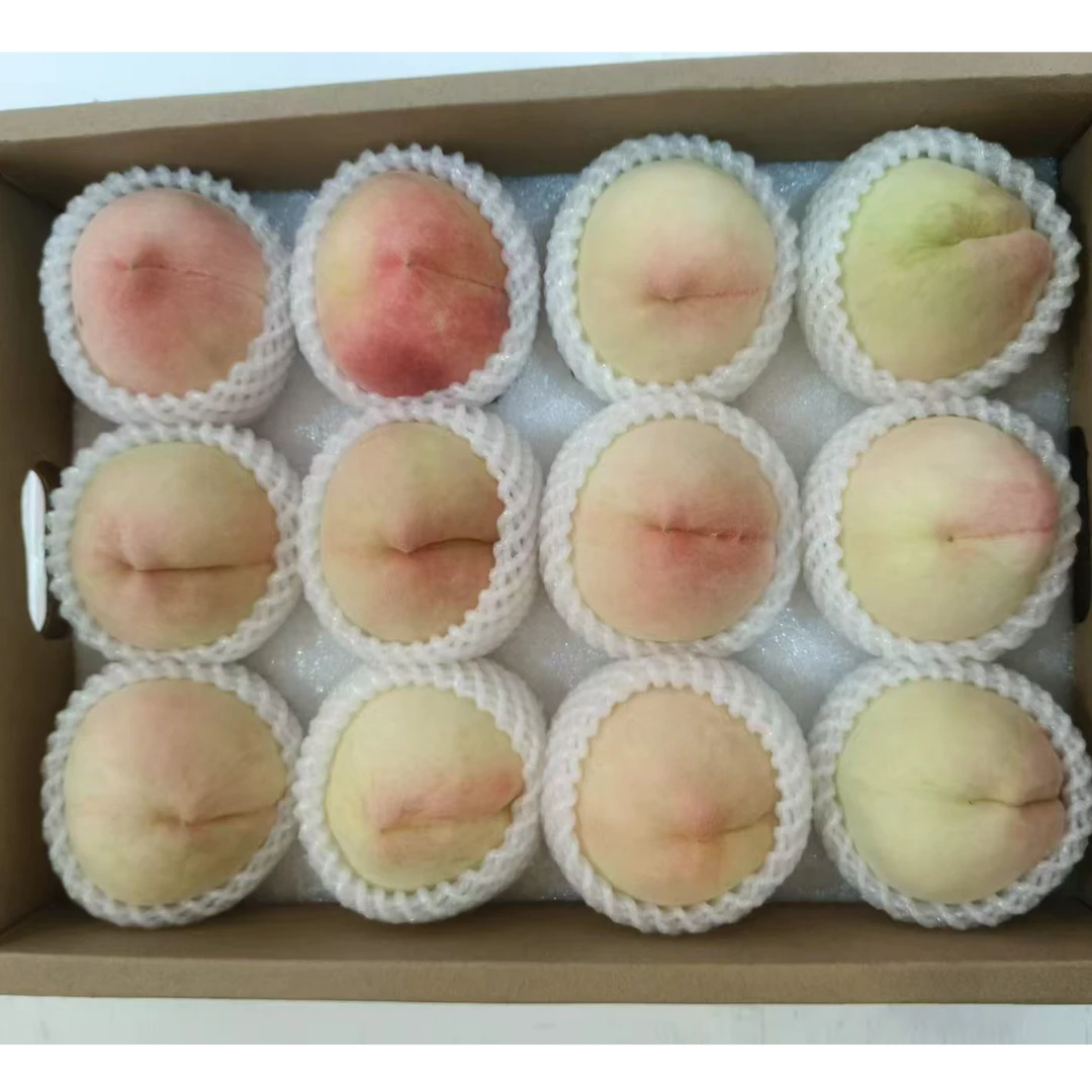 阳山古桃园 阳山水蜜桃 果园直发