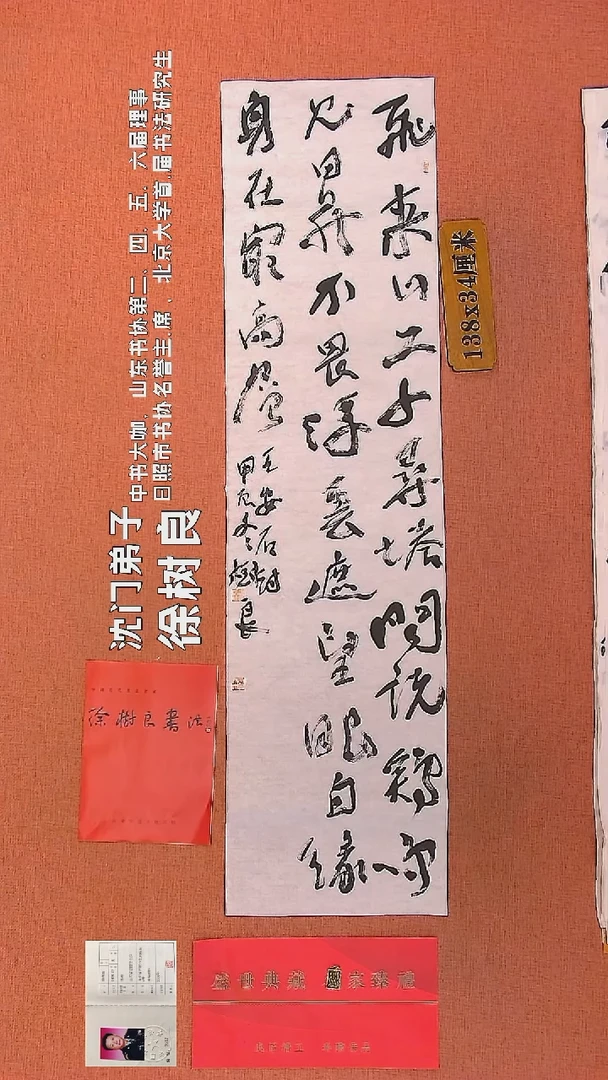 【闪购商品】书法110    徐树良书法作品