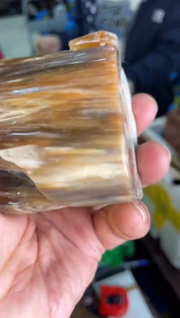 未镶嵌手把硅化玉26