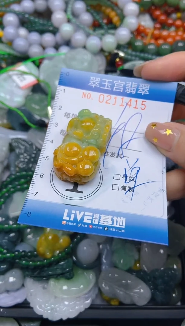 颈饰未镶嵌翡翠闪购C0211415