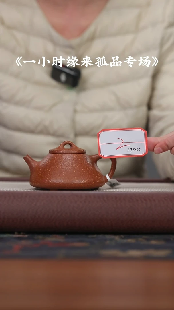 【闪购商品】紫砂茶壶粗砂降坡泥石瓢{2}