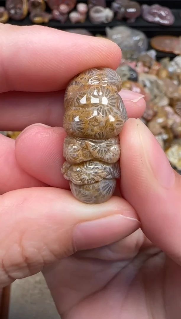 颈饰未镶嵌硅化珊瑚（珊瑚玉）727