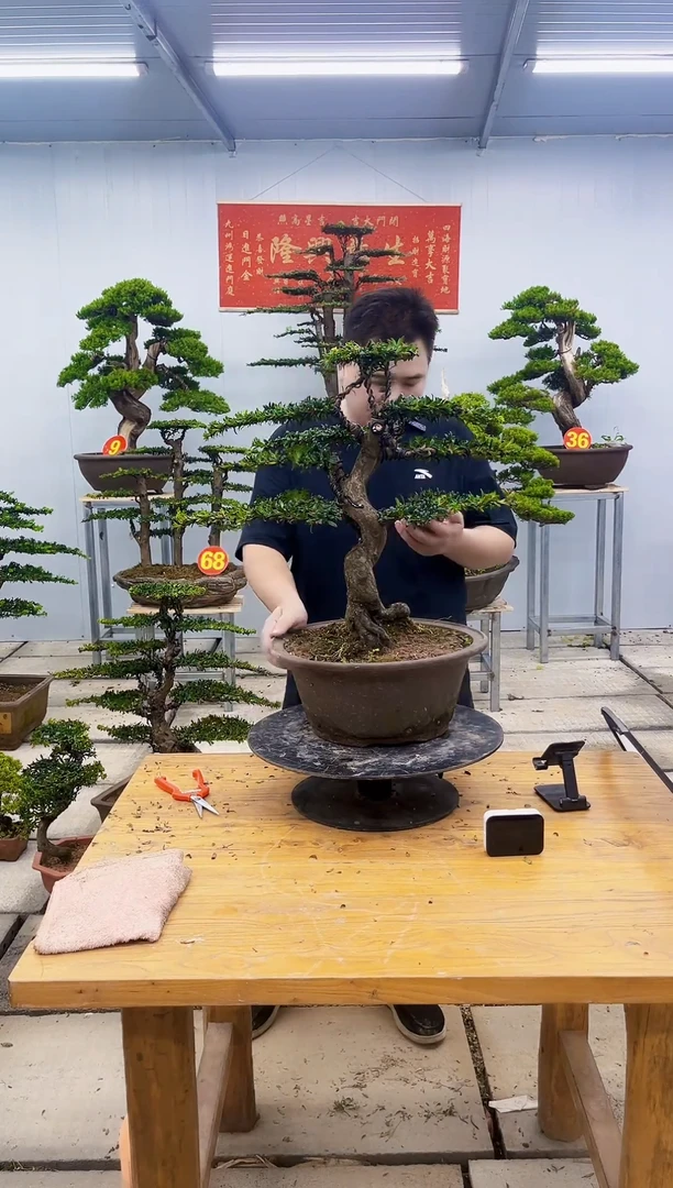 无花朵用****91111111111
