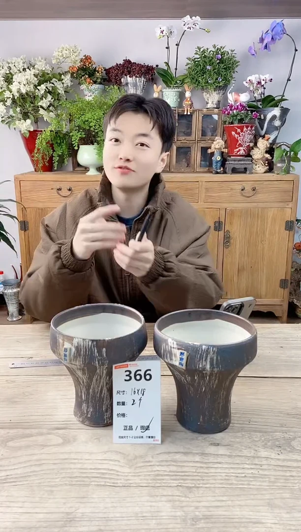 小玩子花盆直播编号366