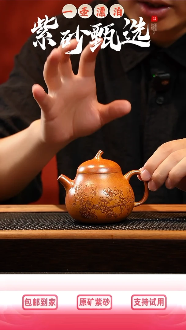 茶壶紫砂一壶漂泊原矿紫砂