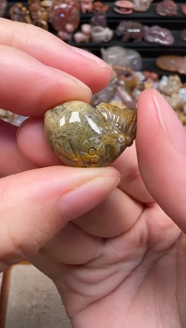 颈饰未镶嵌硅化珊瑚（珊瑚玉）330