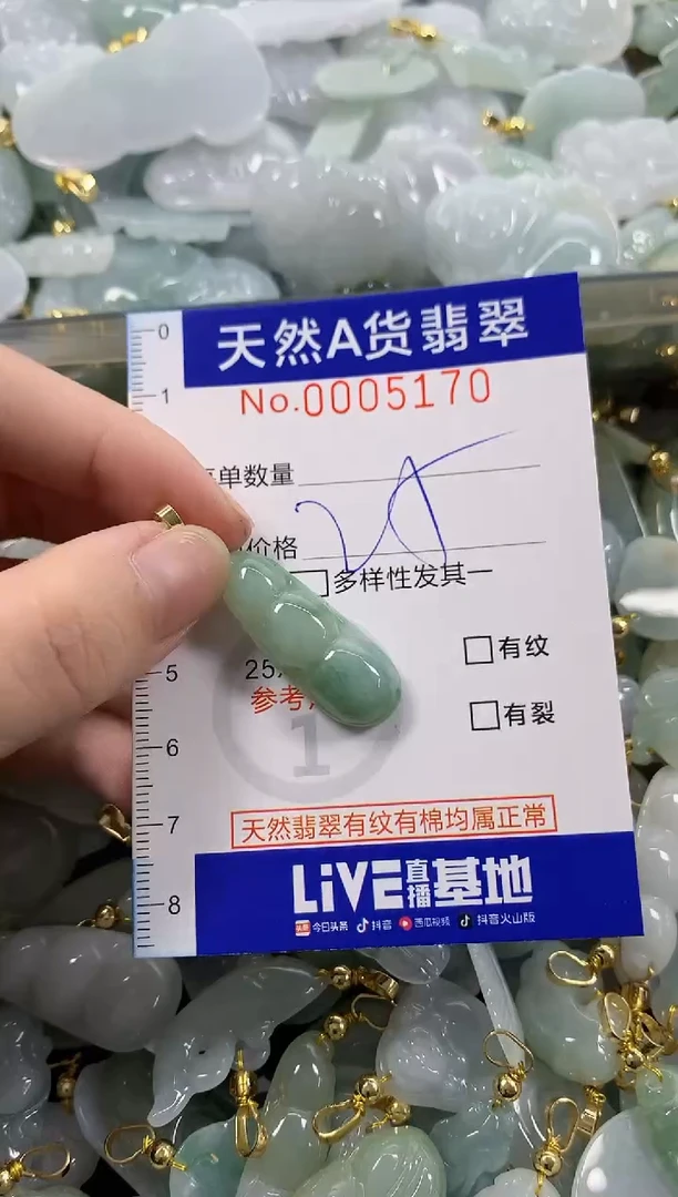 颈饰未镶嵌翡翠天然A货翡翠