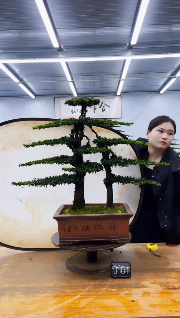 无花朵一物一拍，所见即所得