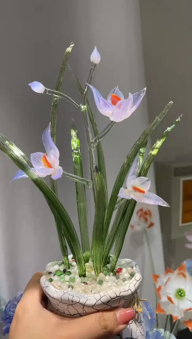 琉璃34兰花