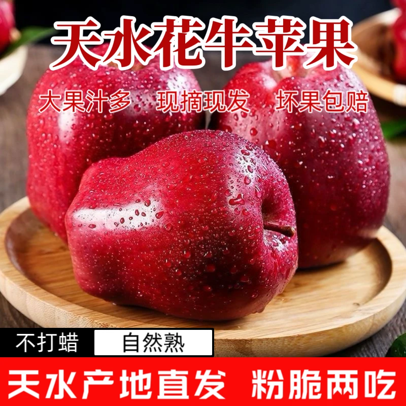 【产地直发】2025头茬正宗天水花牛苹果粉面宝宝辅食蛇果新鲜水果