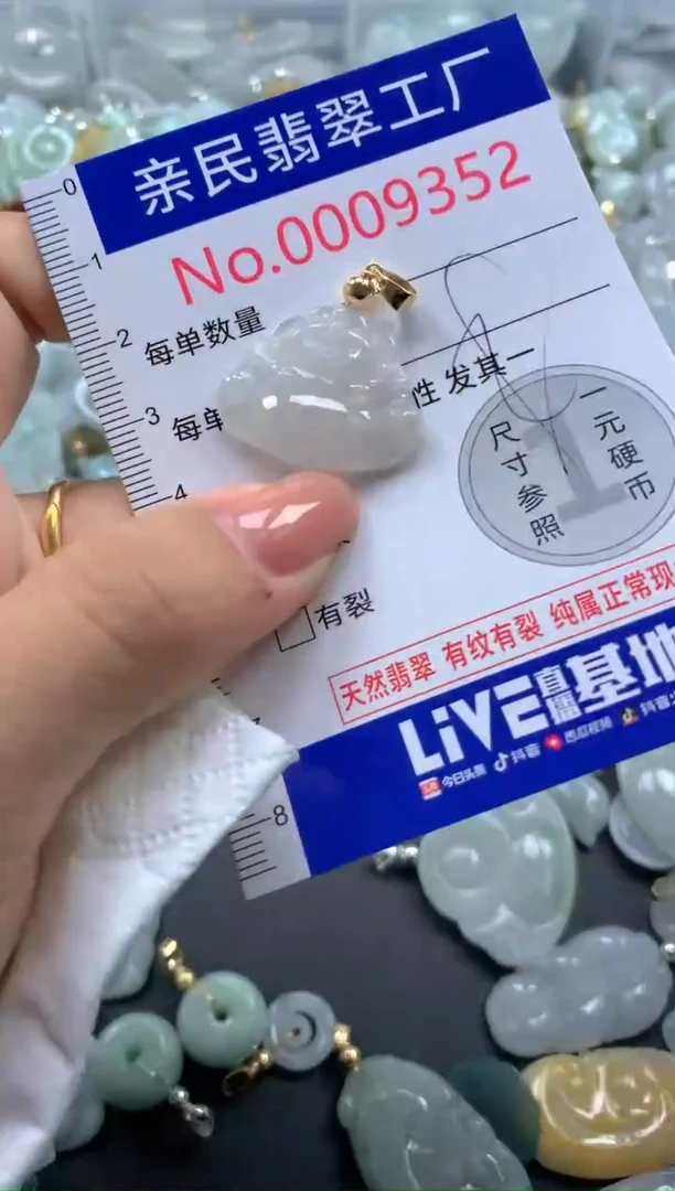 颈饰未镶嵌翡翠9352