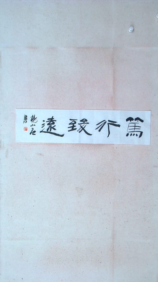 【闪购商品】书法 杨小立河南南阳69*17一平尺