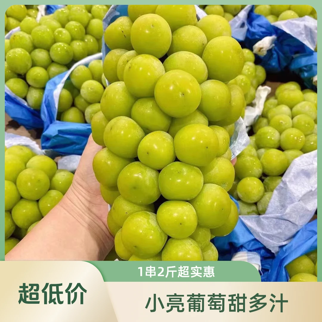 晴王葡萄  礼盒 7斤葡萄同城送