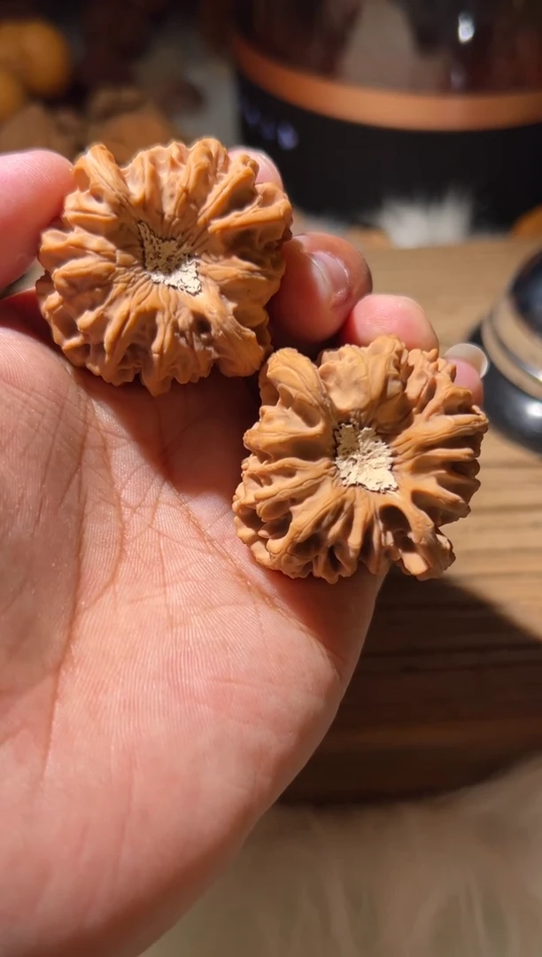 诚*诚宇文玩核桃