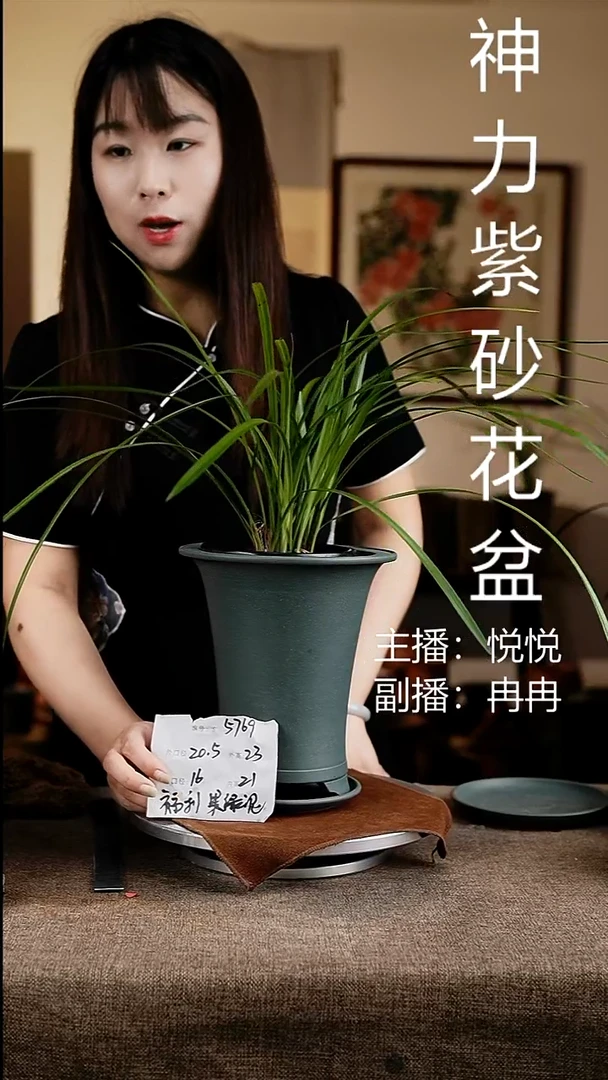 紫砂花盆花卉工艺5769+z果绿