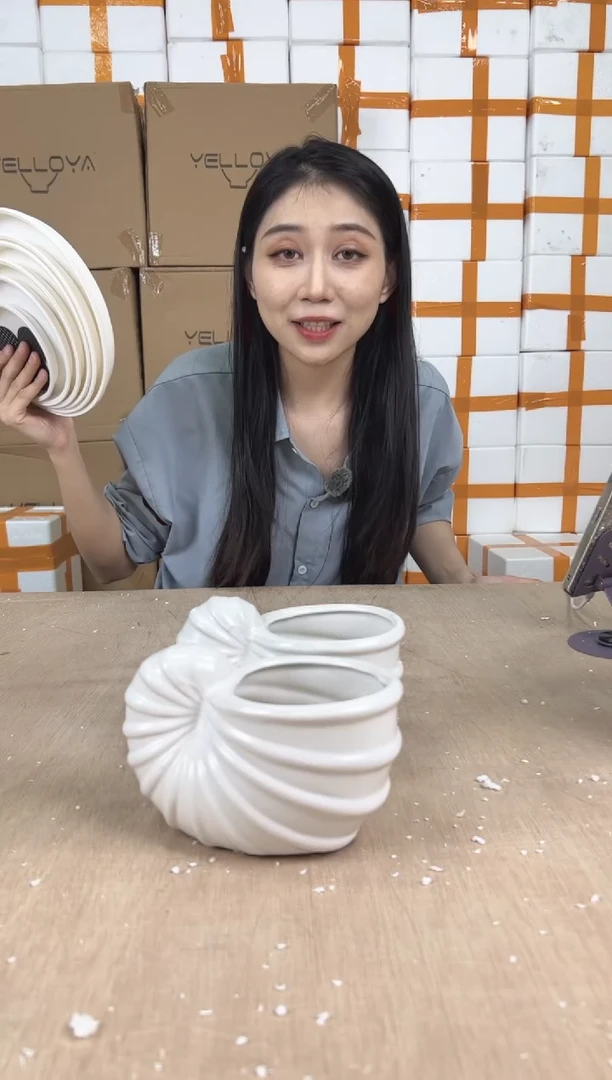 2海螺白色小号10x16x9