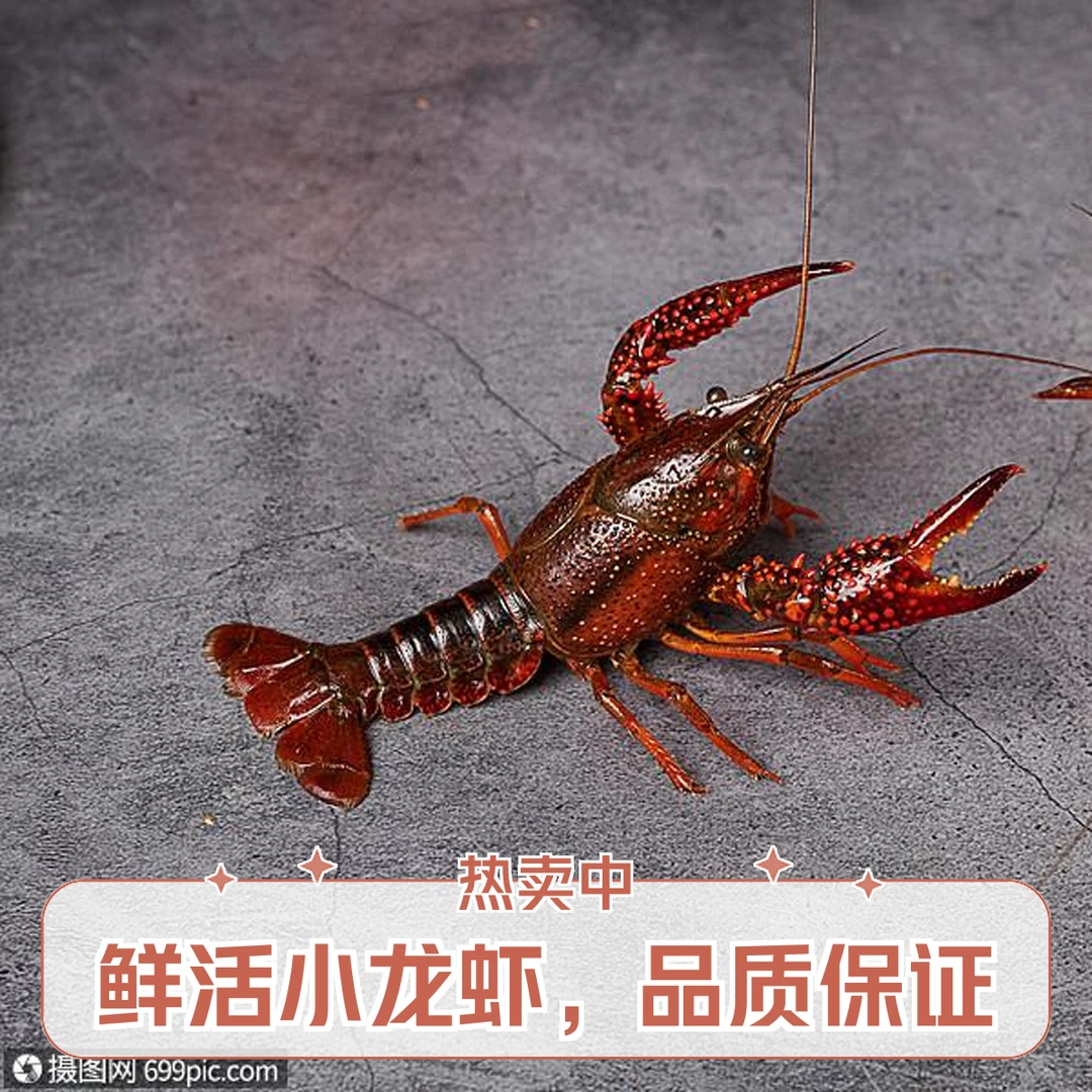 小龙虾中青456钱（斤）小龙虾制品小龙虾制品小龙虾制品