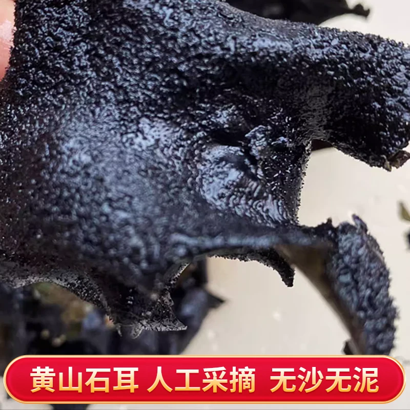 石菇石耳岩耳干货小包装干净无杂免洗无沙崖菇石壁花25g