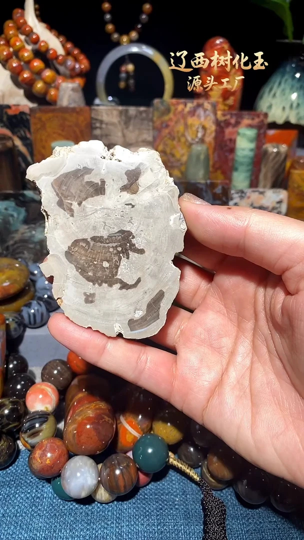 未镶嵌-硅化玉天然北票硅化玉原石