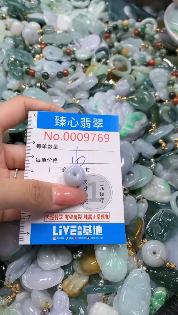 翡翠未镶嵌颈饰9769