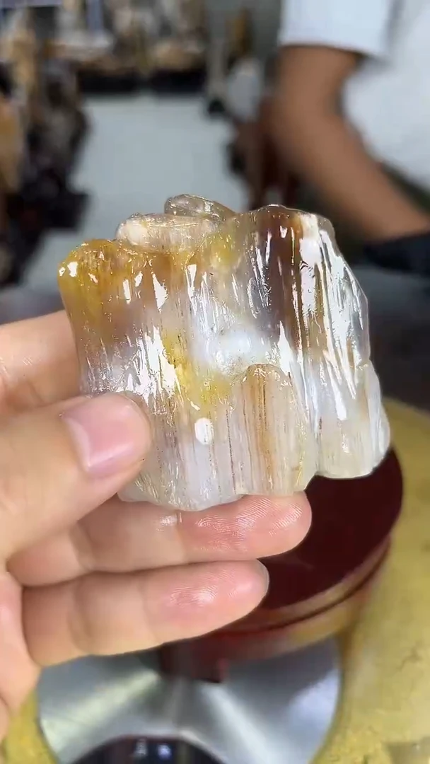 硅化玉珠宝奇石未镶嵌缅甸天然树化玉