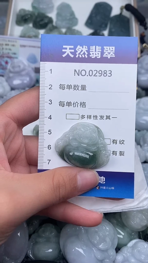 颈饰未镶嵌翡翠纯天然A货翡翠2983