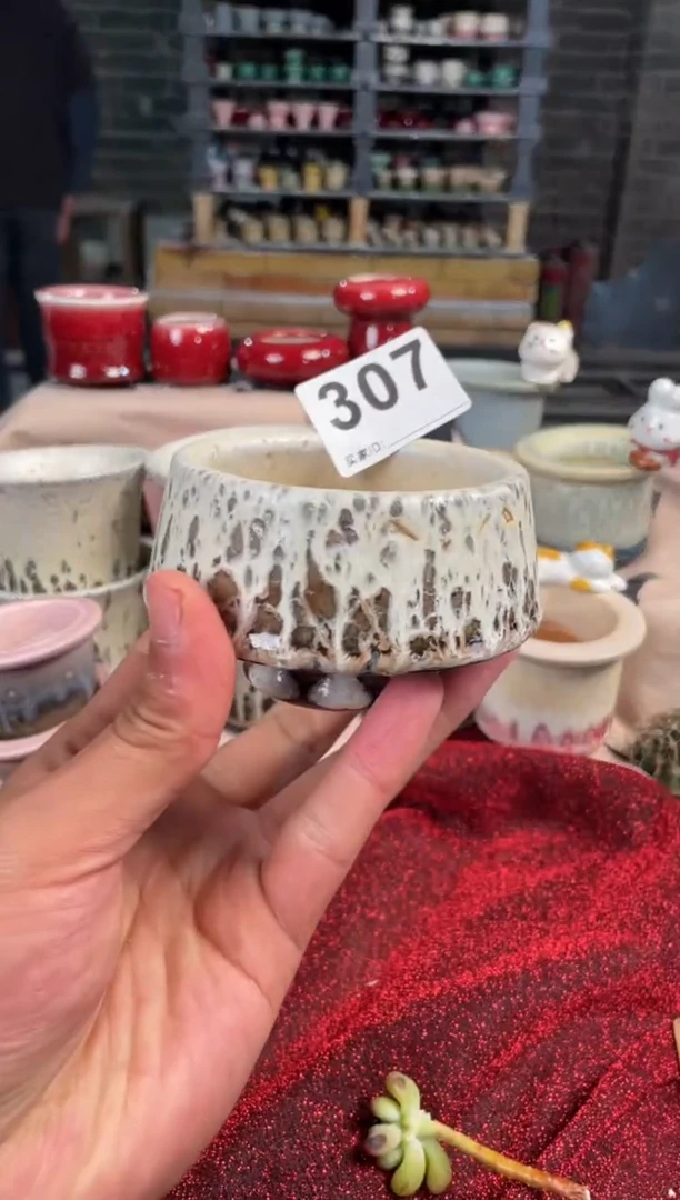 【闪购商品】摆件307知木小芳花盆编号