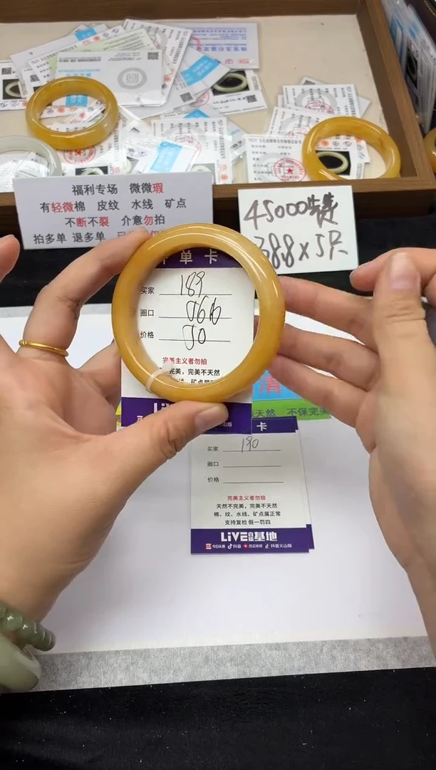 未镶嵌手镯石英质玉189